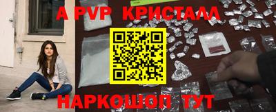 спиды Малгобек