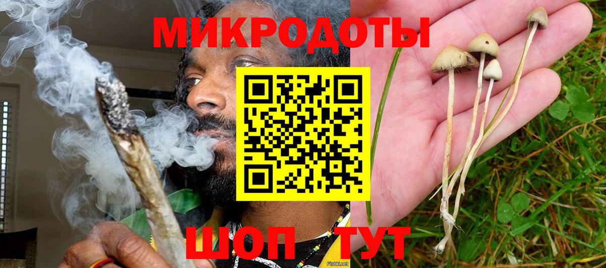 Городец  Галлюциногенные грибы прущие грибы  Галлюциногенные грибы ЛСД  Вход с VPN 